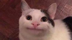 T G