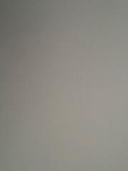 كادي العنزي