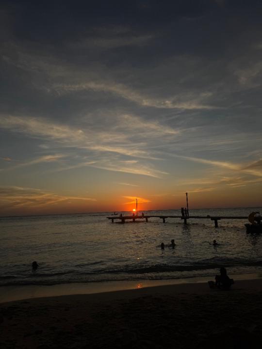 Dewin Da Costa Gomez