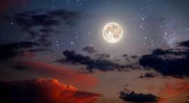 Nguyễn Thành vương