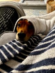 Oliver A