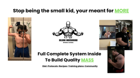 Bulking Underground gallery image