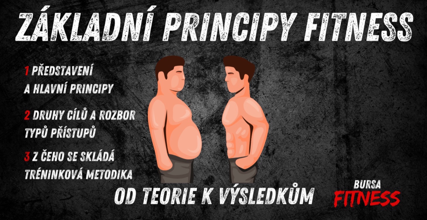 Základní Principy Fitness