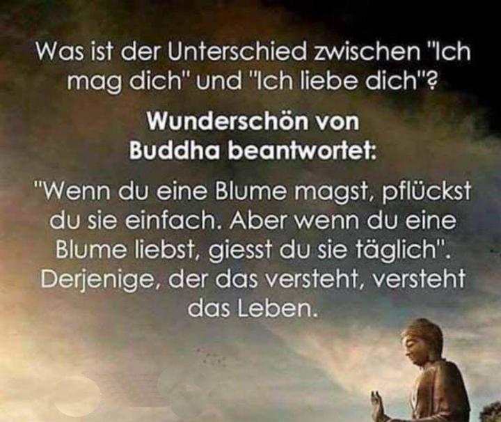 Schreibe in die Kommentare 💖