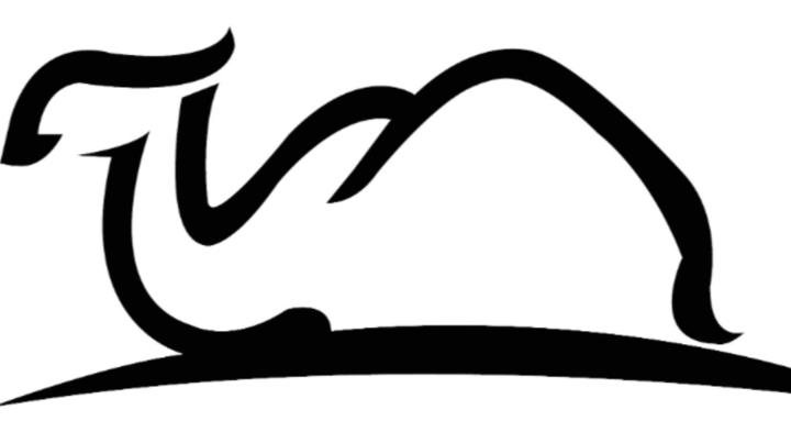 The Camel Care Valueclass  $30