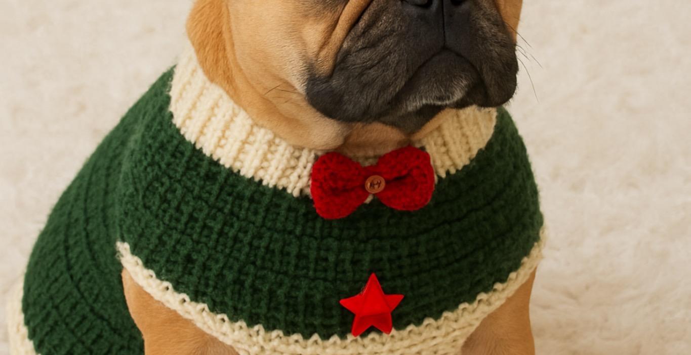 Dog Sweater