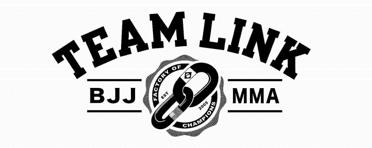 Team Link
