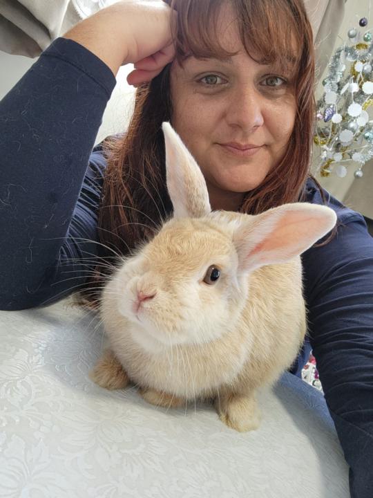 Bonnie Nicholas