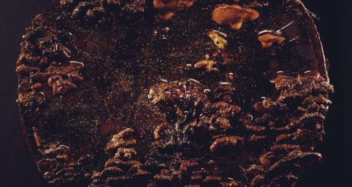 Chainsaw Carving with Millie