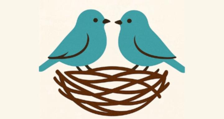 Nest Connect