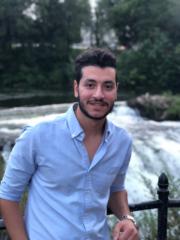 Bassem Botros