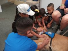 Keven Mosley-Koehler