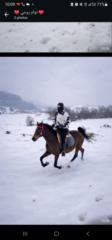 Mohamed Abushwemeh