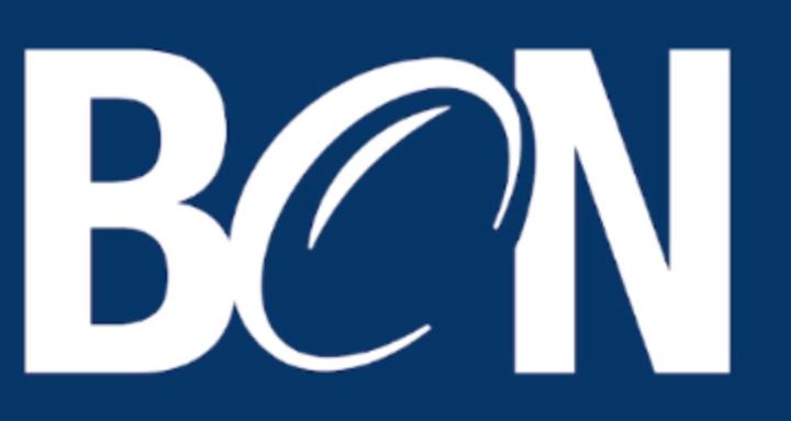 Business Champions Network