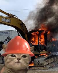   Nouveau salon : Demande de conseils 🪖