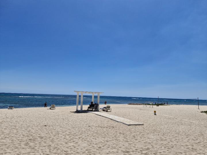 Anna Rychlik-Piesiewicz