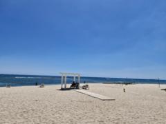 Anna Rychlik-Piesiewicz