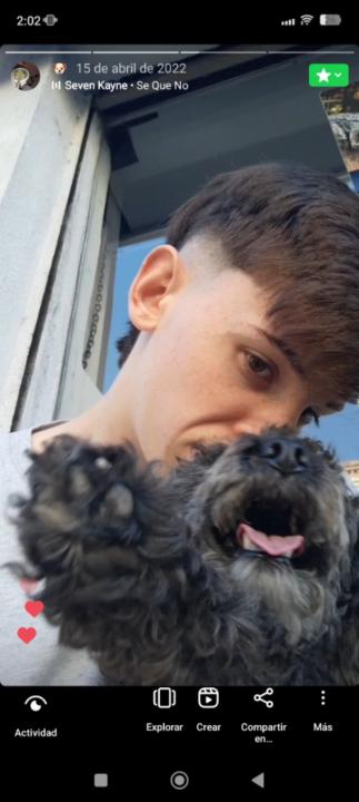 Maximo Maxxi