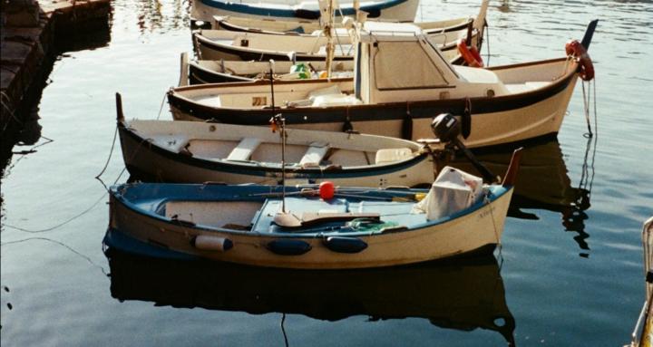 The Harbour