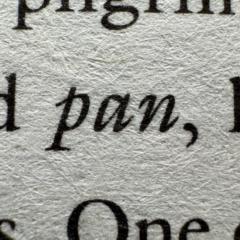 Pan Kim