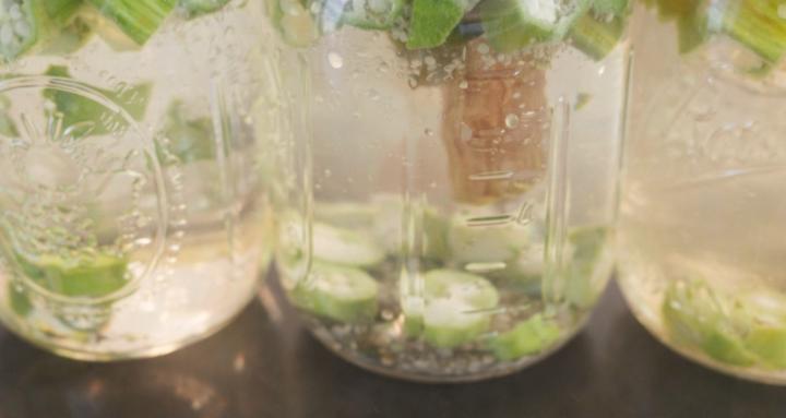 Insulin Resistant Wellness 