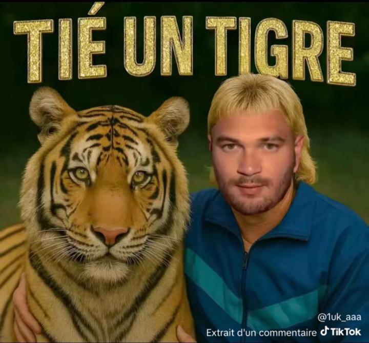 M Kaaouachi Elkaaouachi