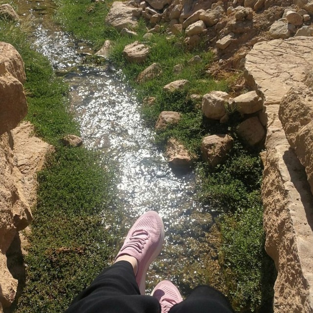 حلا سعد