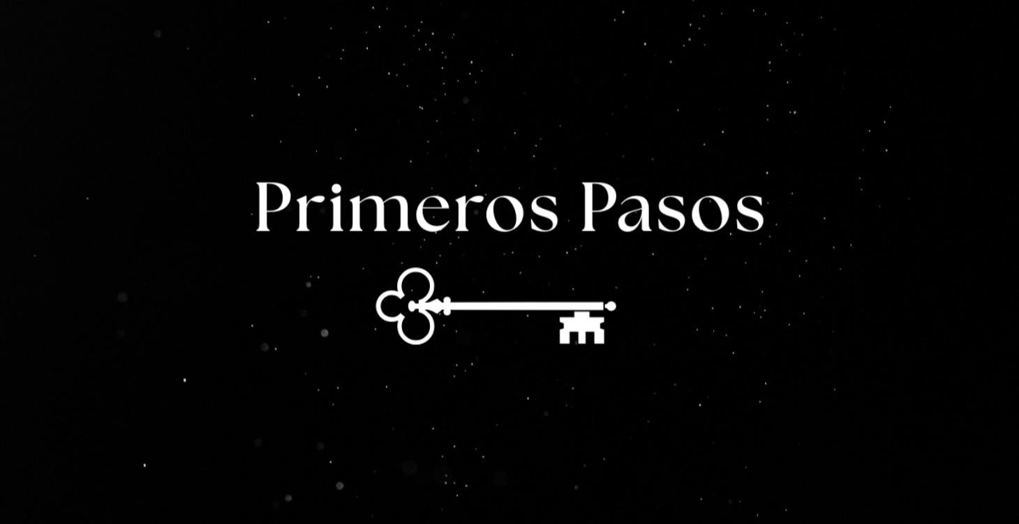 Primeros pasos