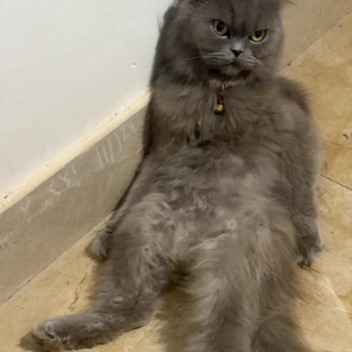 Lê thành nhân Lê thành nhân