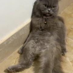 Lê thành nhân Lê thành nhân