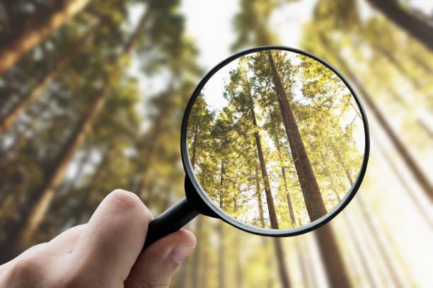 The Shiny Object Syndrome: Staying Focussed on Your Goals