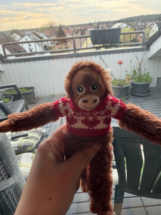 Mr monkey