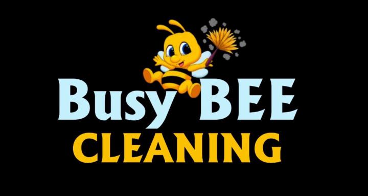 Buzzi beez cleaning group