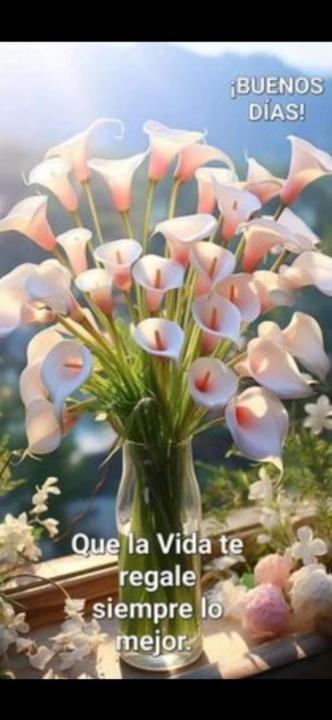 Candelaria García González