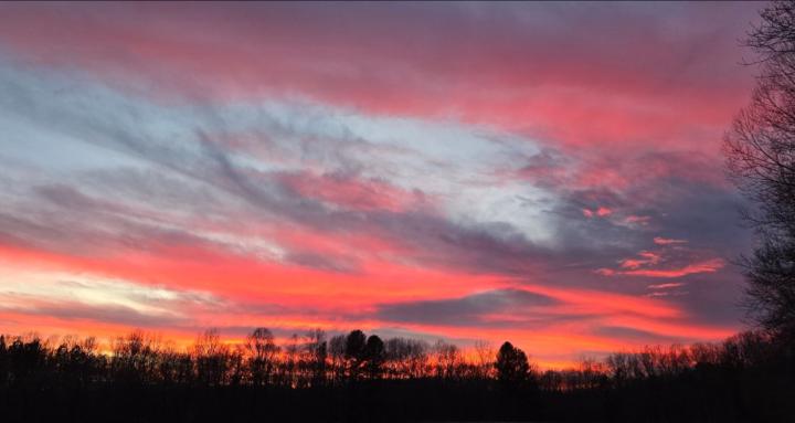 Empowered Neuro Hypnosis