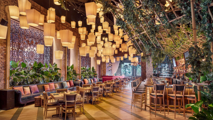 Hidden Gem of the Week!