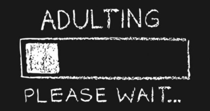 The Adulting Community