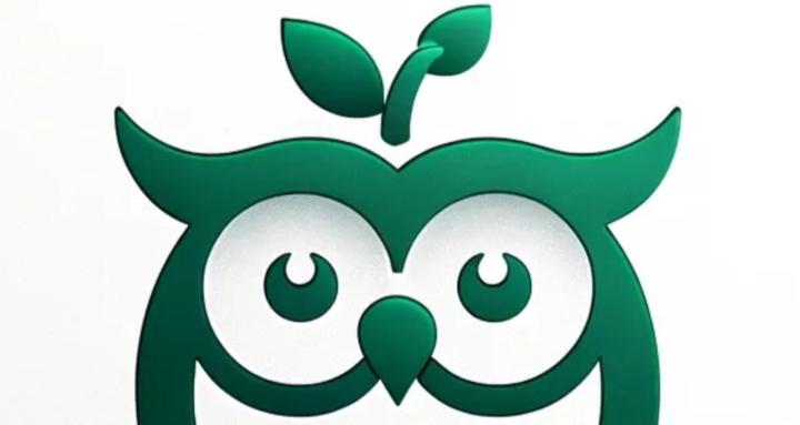 Entrepreneurs Insider Playbook