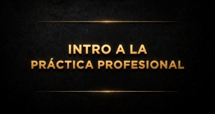Práctica Profesional Contable