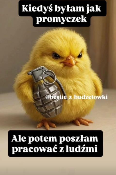 Radosław Radek