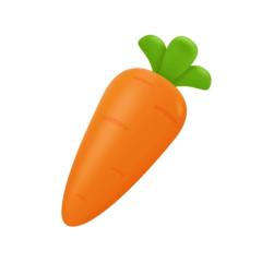 Carrot Carrot