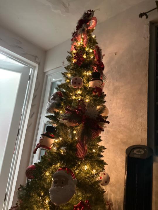 Derek Omar Gonzalez Garcia