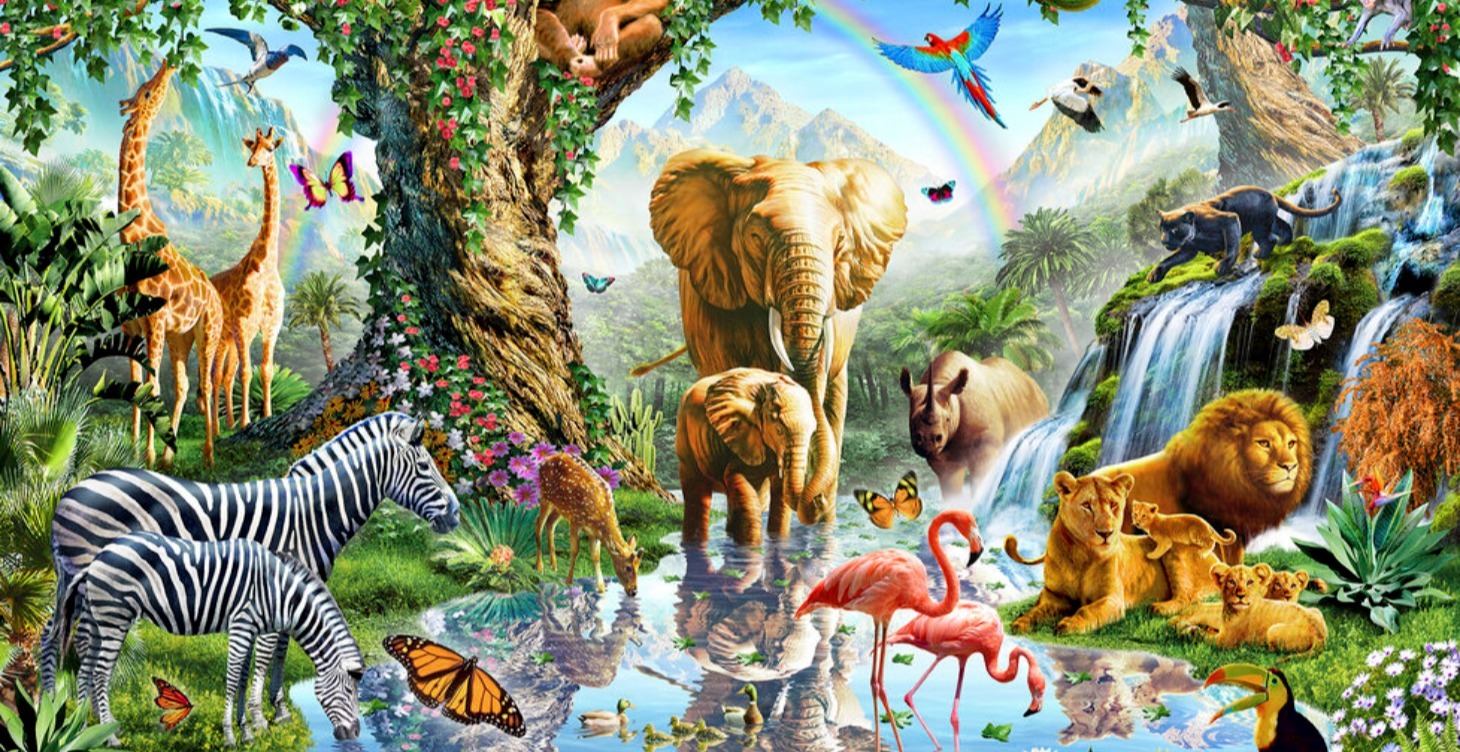 Vegan Gayman + Transmen.