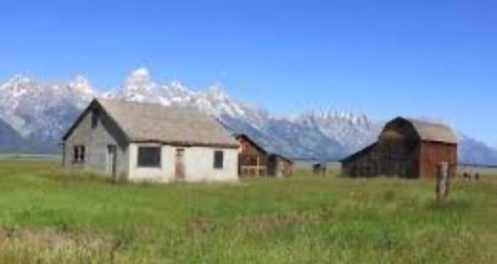 Hobby Homesteaders