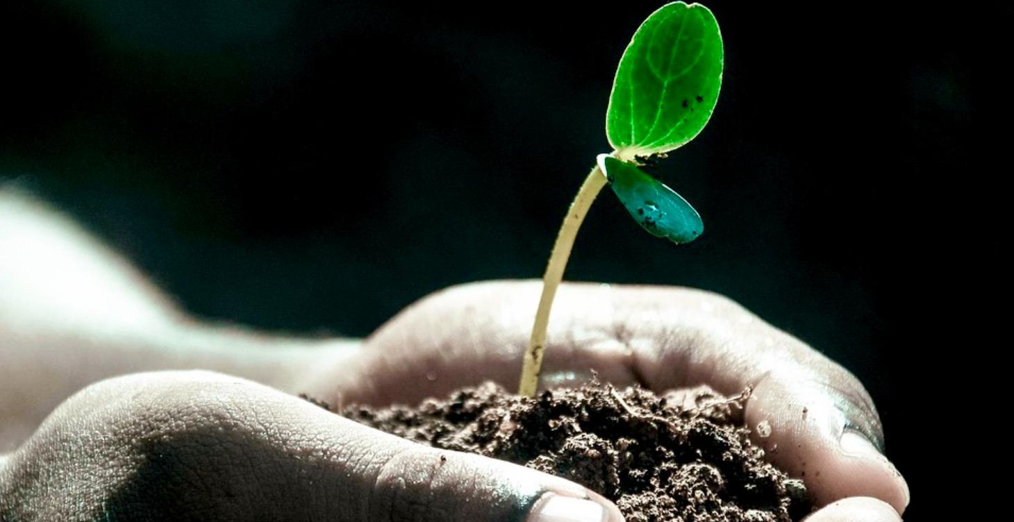 PAYING ATTENTION - Principle # 1