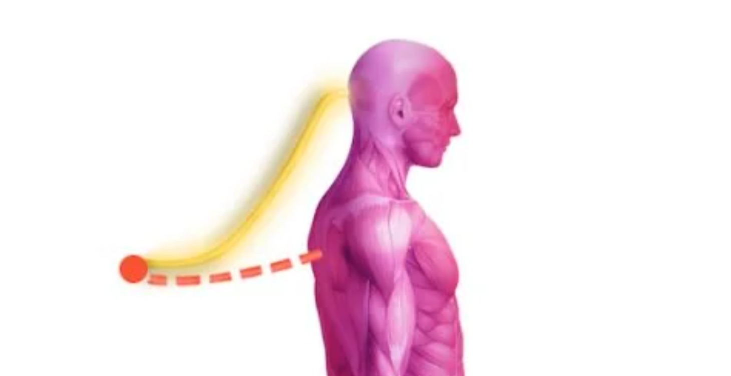The Reality Transurfing Experience