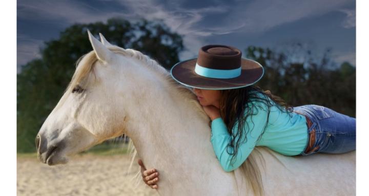 Skool of horsemanship