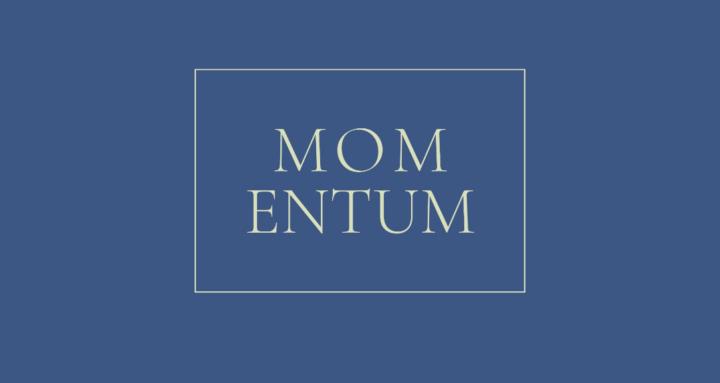 Momentum | High Achieving Moms