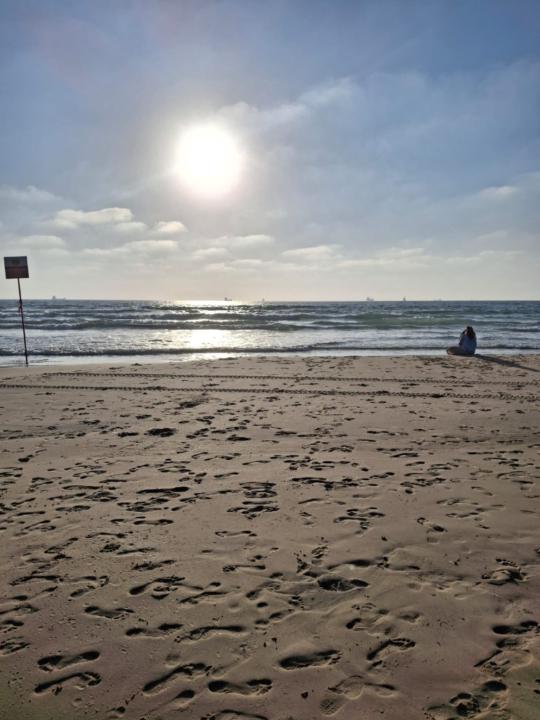 אלדד-שלום פחימה