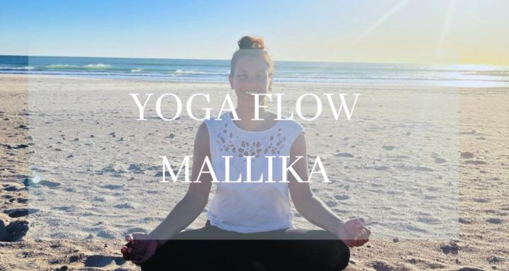 Yoga Flow Mallika 🩷